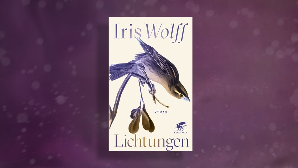 Buchcover von Iris Wolffs «Lichtungen»