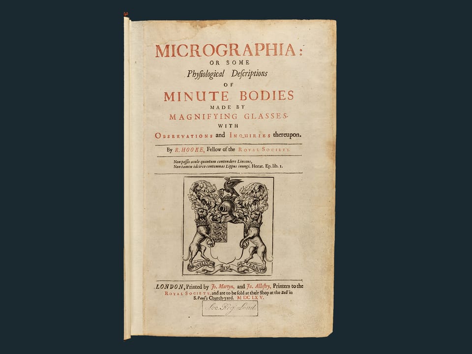 «Micrographia»  ist eins der ersten populärwissenschaftlichen Bücher überhaupt.