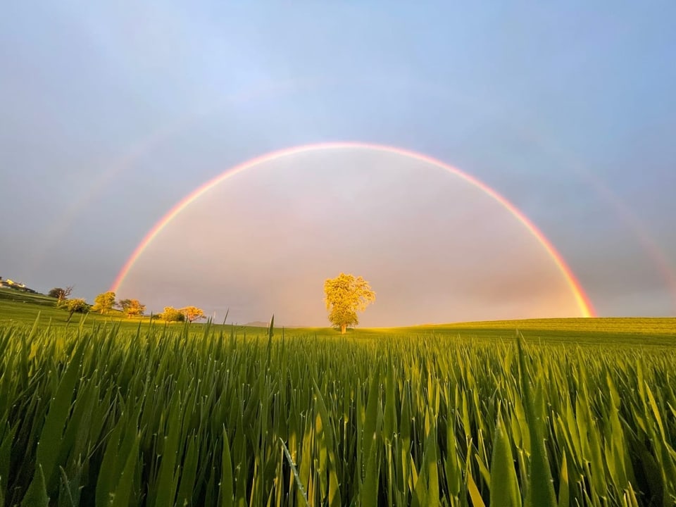 Doppelter Regenbogen.