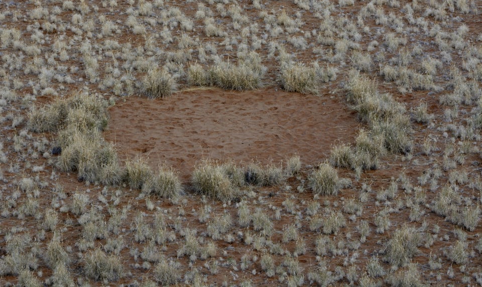 Ein Feenkreis in Namibia.