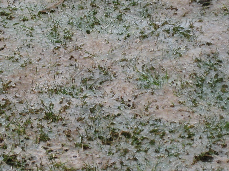 Auf dem Rasen liegt wenig Schnee welcher zum Teil bräunlich eingefärbt ist.