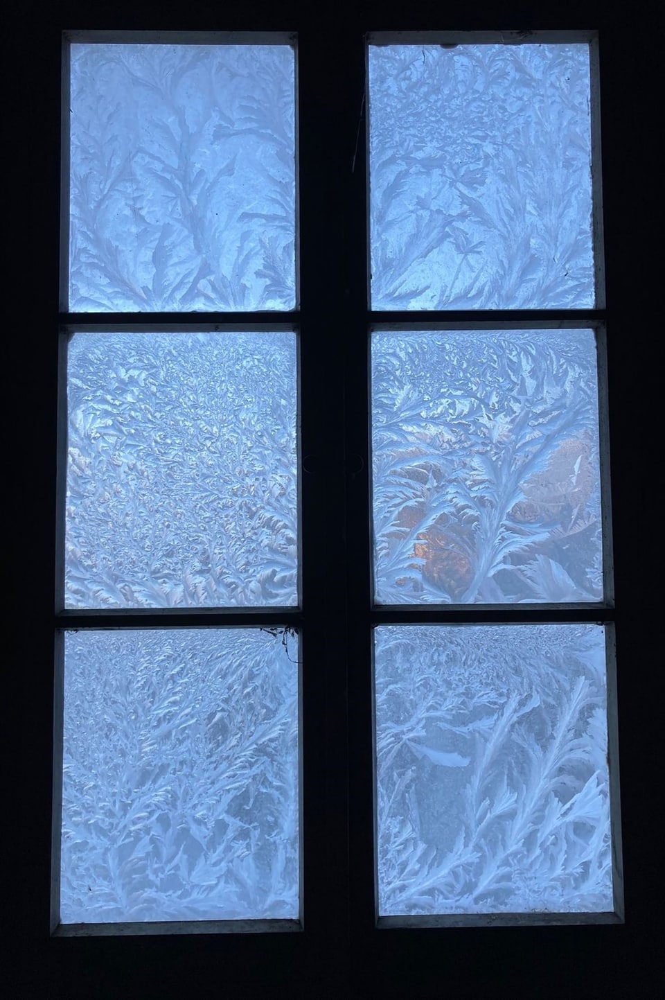Eisblumen am Fenster