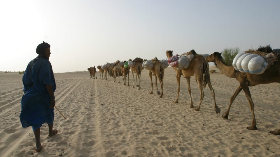 Ein Bild aus friedlichen Zeiten: Eine Karawane verlässt Timbuktu.