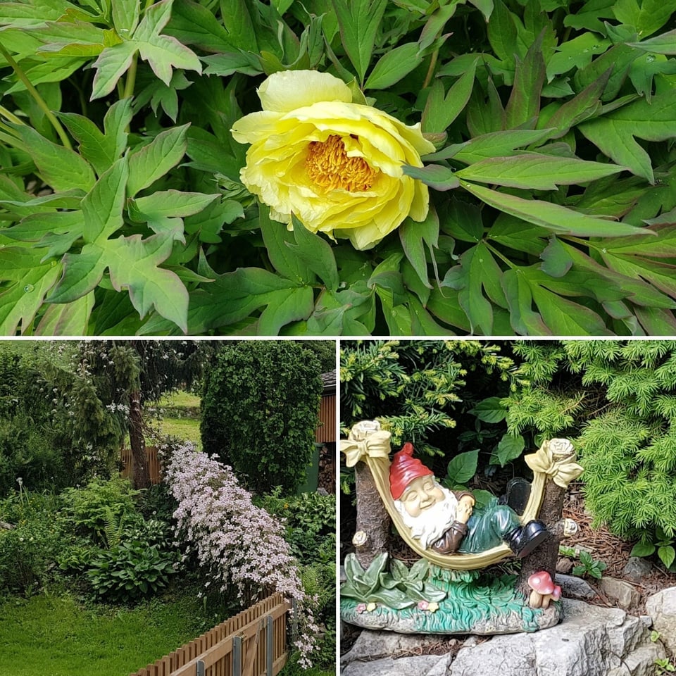 Collage an Bildern mit Pflanzen und einem liegenden Gartenzwerg. 