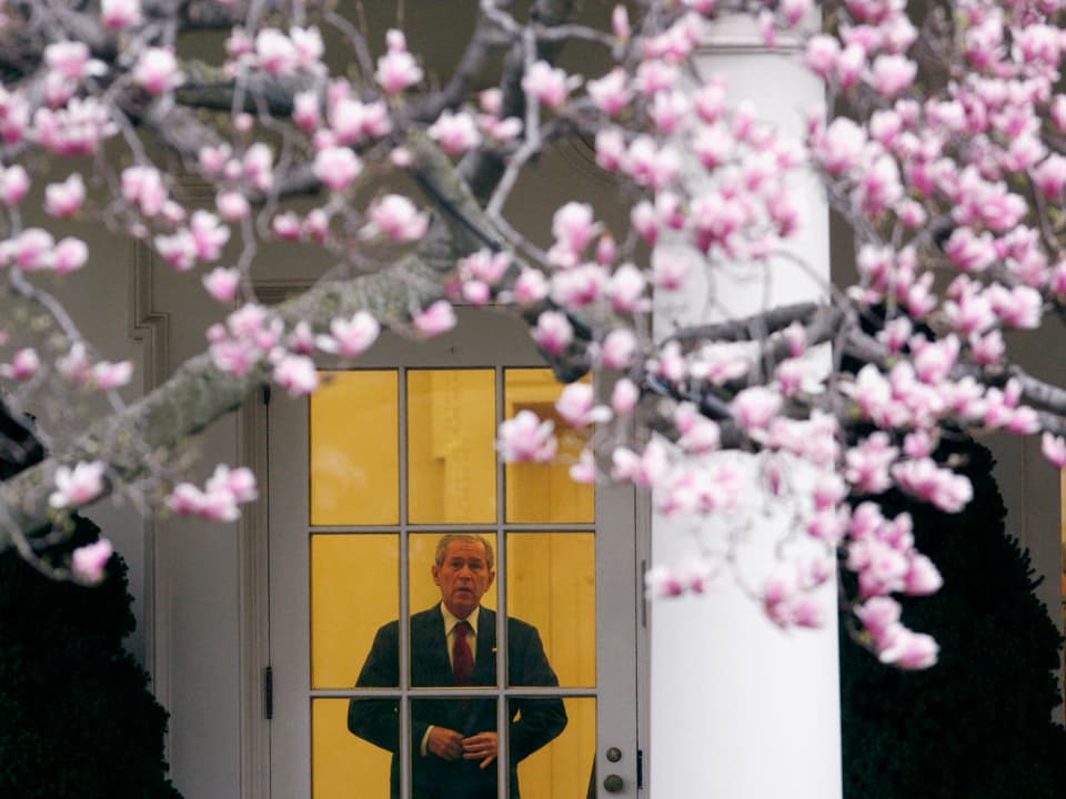 George W. Bush blickt auf Magnolie vor Weissem Haus.