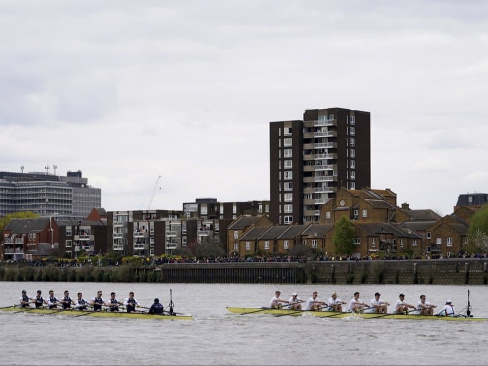 Das «Boat Race» auf der Themse in London.