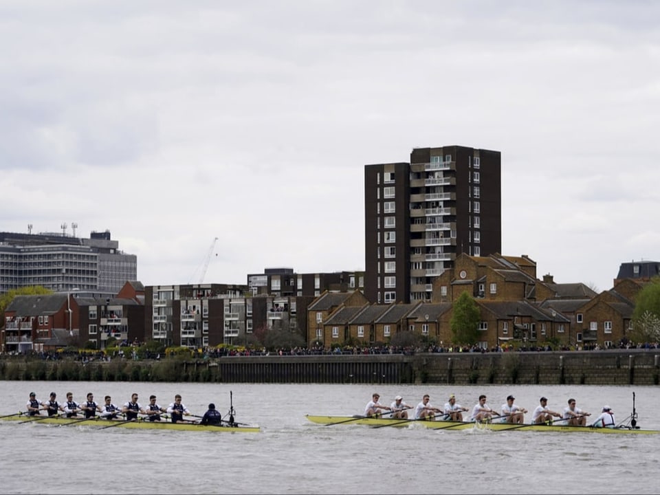 Rudern in der britischen Metropole Das «Boat Race» auf der Themse in London.