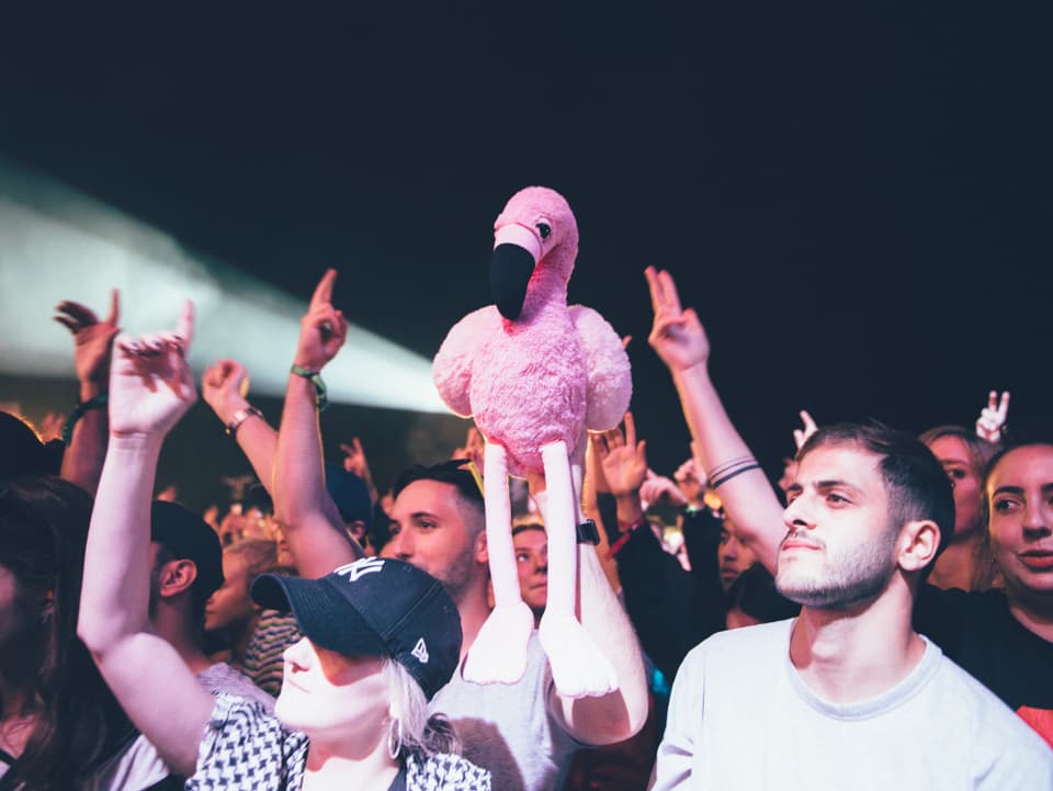 Flamingo in der Crowd.