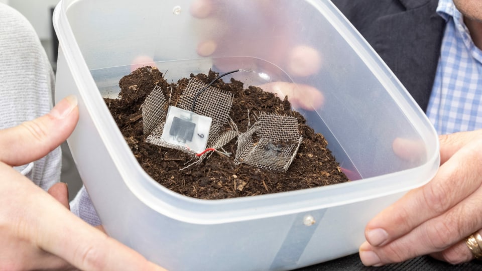 Kompostierbare Batterien aus dem 3-D-Drucker