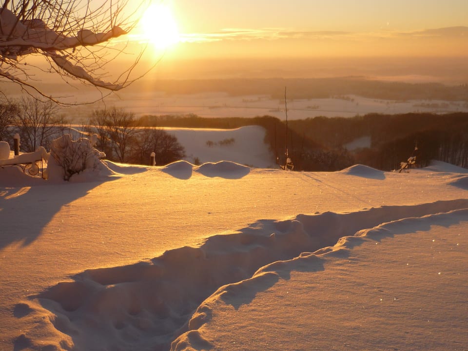 Morgenstimmung in hellem, goldenen Licht. Im Vordergrund Wiese mit viel Schnee, darin eine Spur. Im Hintergrund die aufgehende Sonne. 