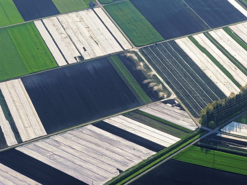Aerial view of fields with black soil, green crops and white tarps