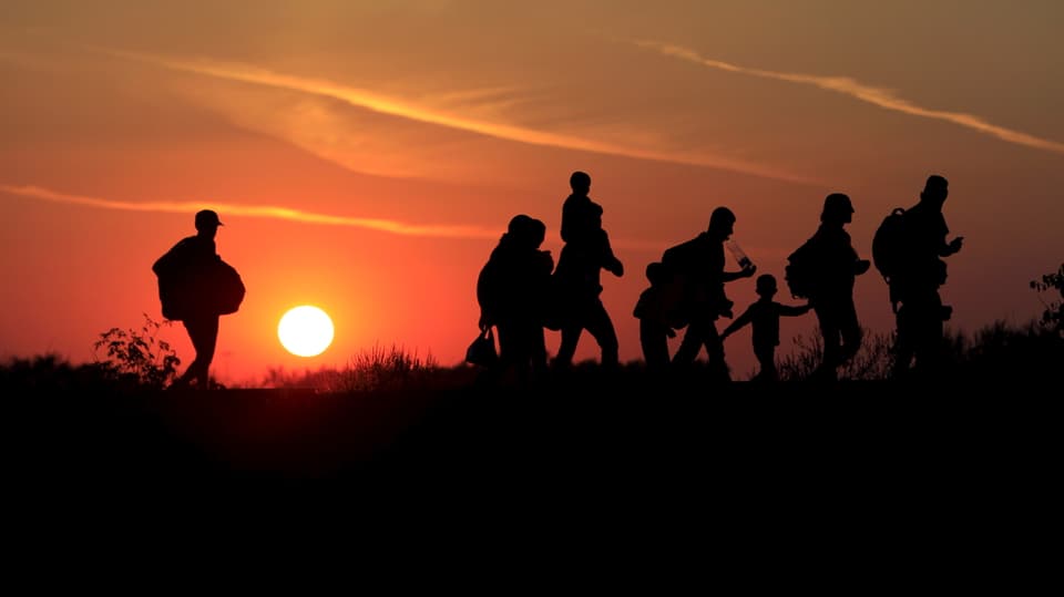 Flüchltinge, hinter ihnen geht die Sonne unter (30. August an der ungarisch-serbischen Grenze)