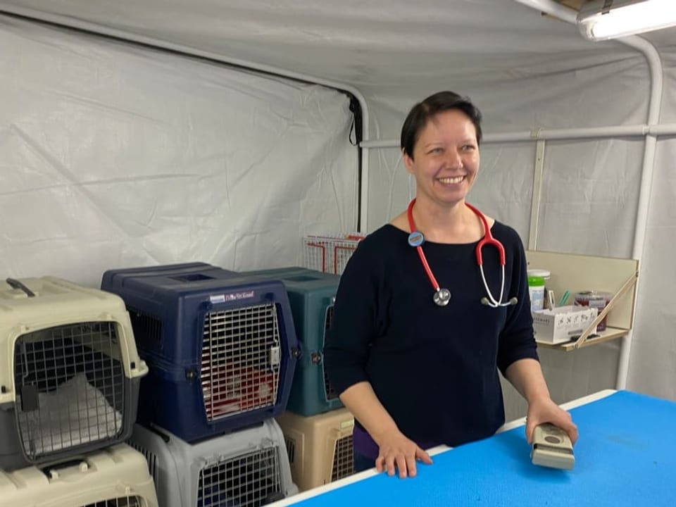 Die Tierärztin Katrin Beckmann, die in der neuen Tierklinik beim Bundesasylzentrum Zürich freiwillig aushilft.