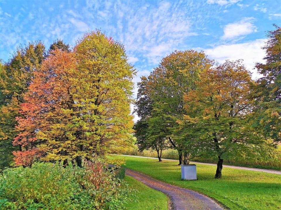 Farbenfrohes Herbstwetter über der Naturlandschaft.