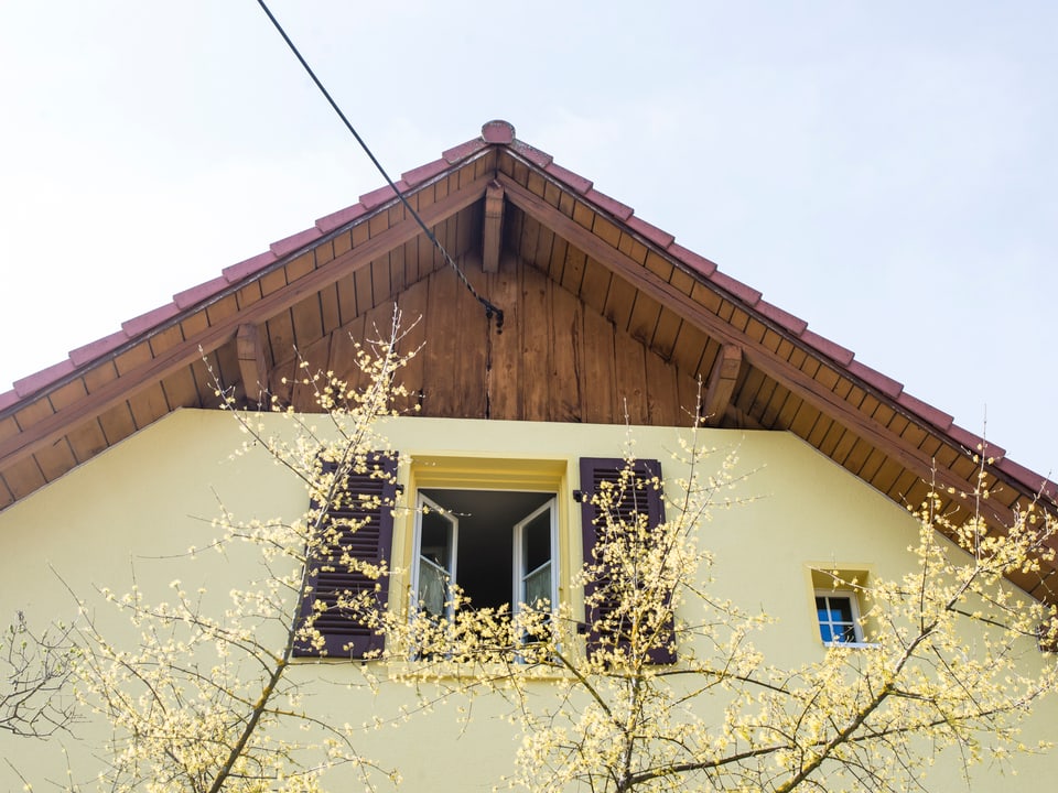 Haus mit blühenden Sträuchern