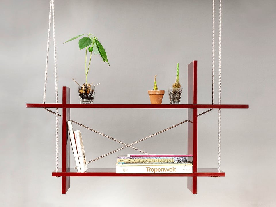 Ein Regal aus Holz, aufgehängt an Seilen, darauf einige Bücher und Pflanzen.