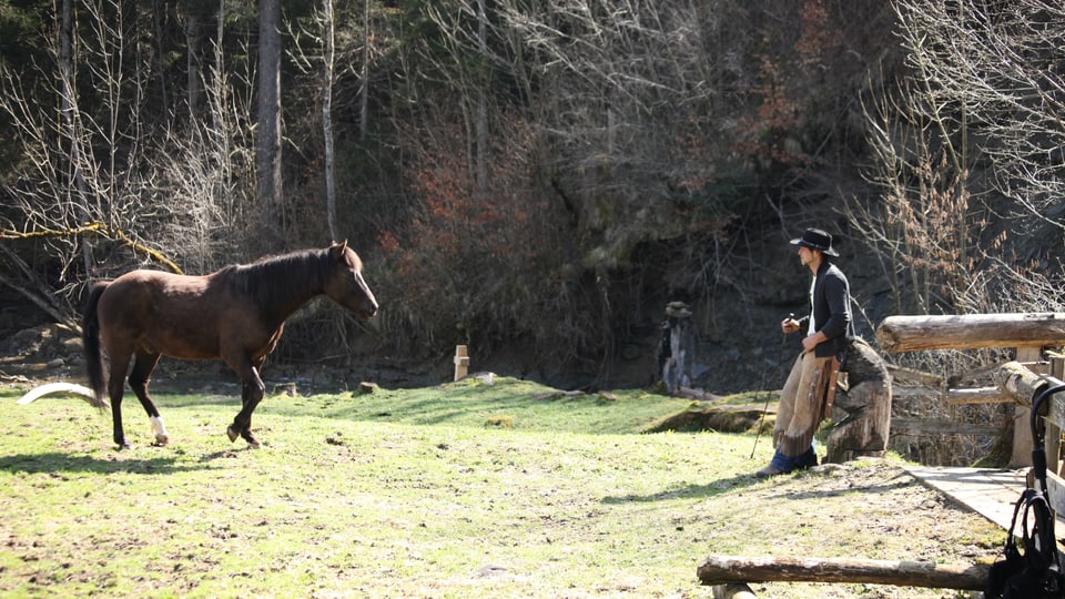 Pferd geht auf Pferdeflüsteter Jonathan Vuilleumier zu. 