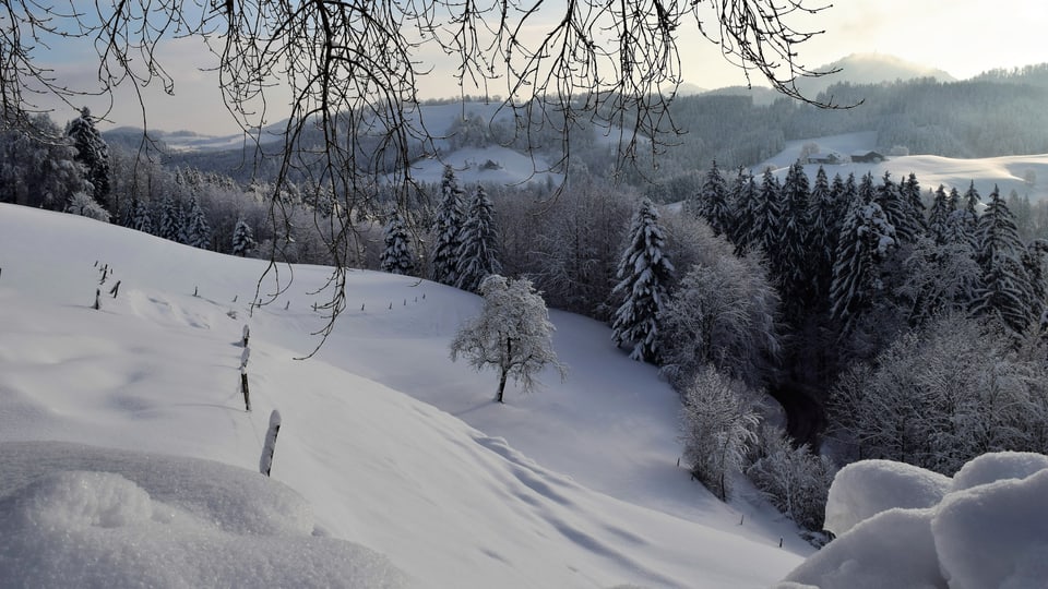 Verschneite Winterlandschaft im Tössbergland.