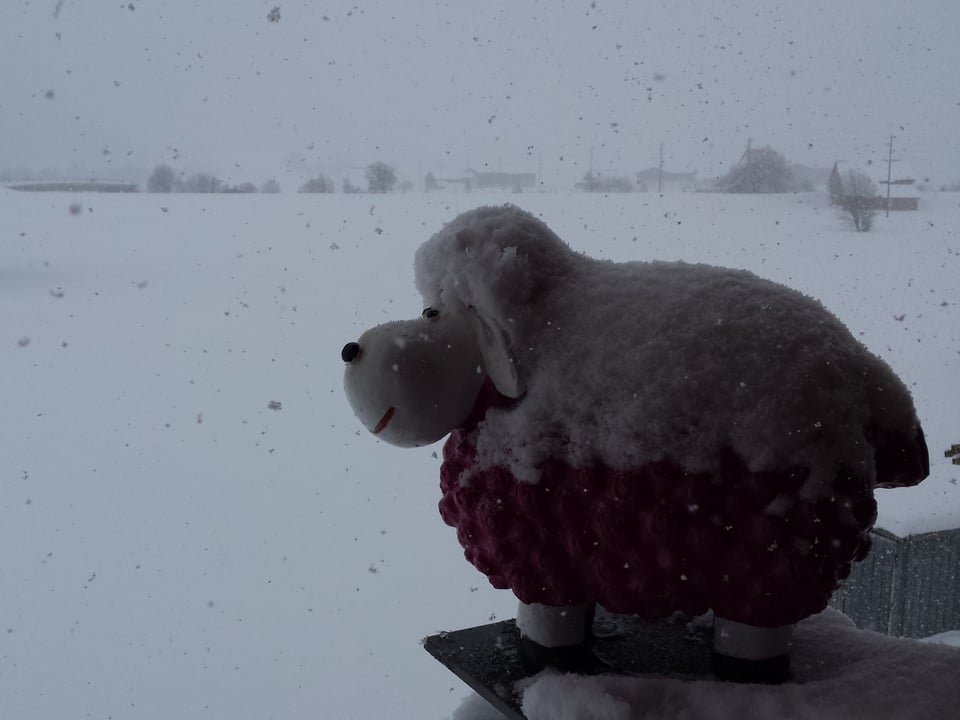 Verschneite Schafskulptur
