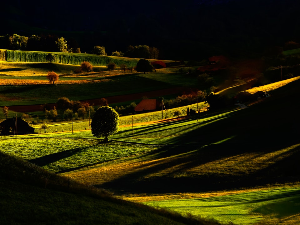 Grüne Landschaft im Morgenlicht mit grossen Kontrasten von hell- bis dunkelgrün