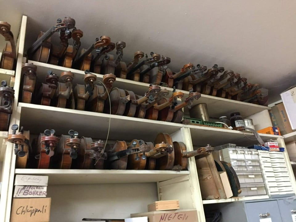 Zahlreiche alte Geigen lagern im Geigenbauatelier Sprenger in St. Gallen.