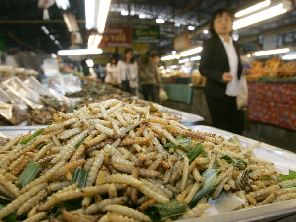 Frittierte Bambus-Würmer sind in Thailand auf den Märkten erhältlich und gehören zum Alltag. 