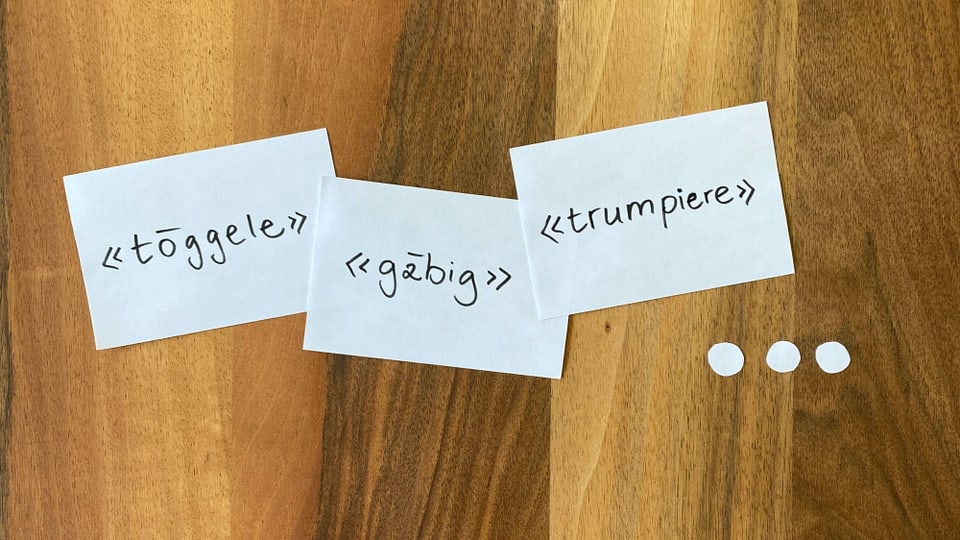 Wir erklären erstaunliche Mundartbegriffe.