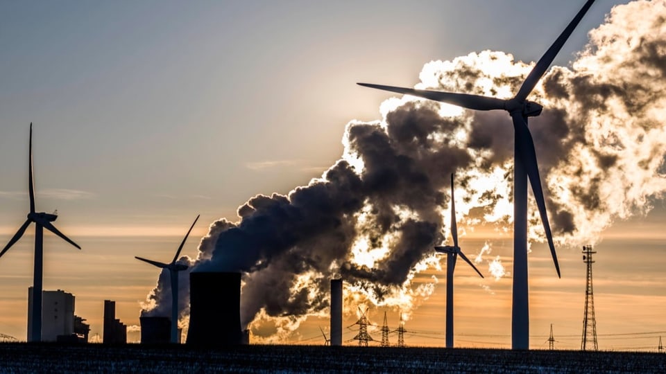 Interview mit Irmi Seidl zum Bericht «Earth for all»