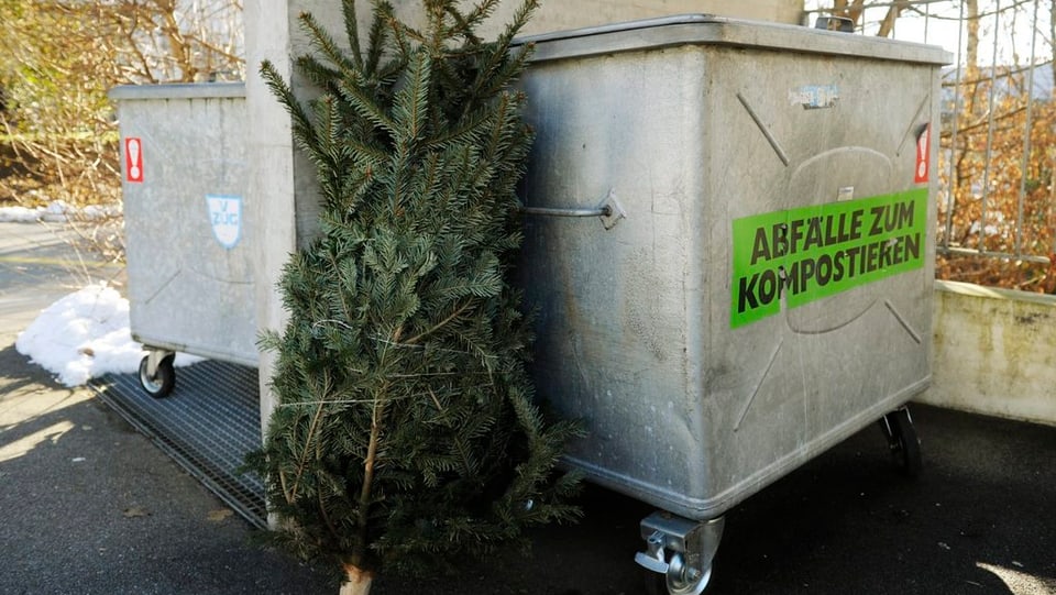 Schwierige Sparübung beim Abfall (18.12.2013)