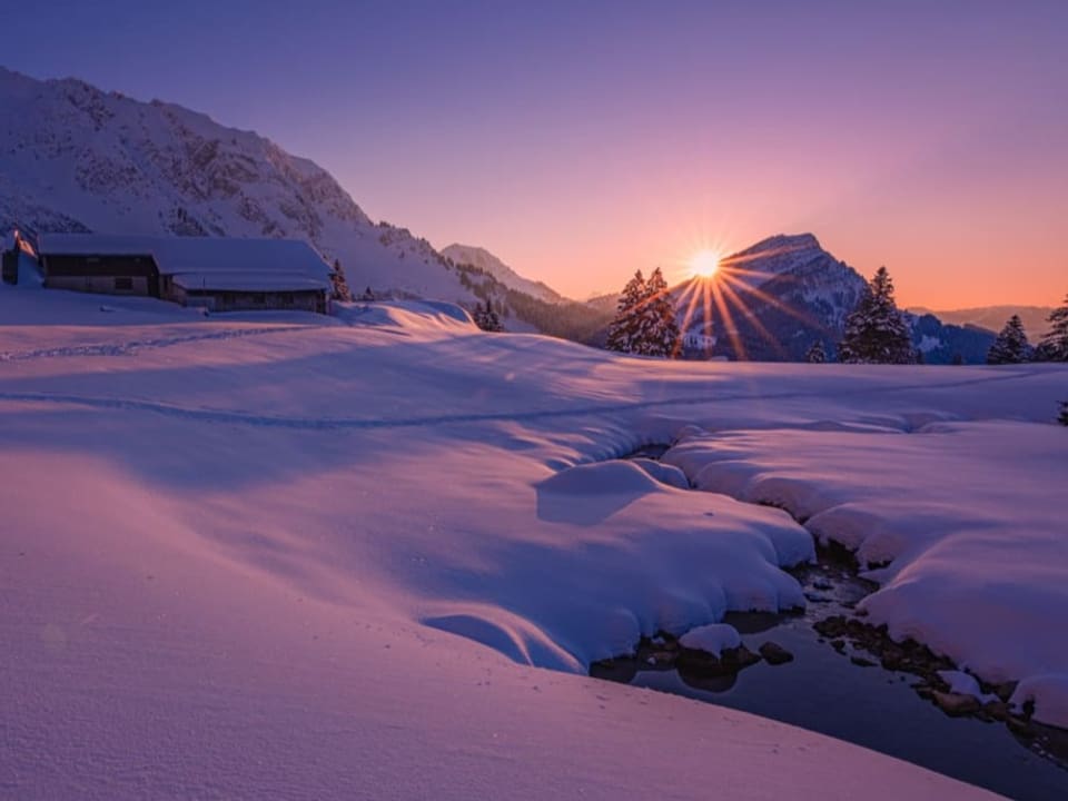 Verschneite Landschaft bei untergehender Sonne, alles in lila Licht. 