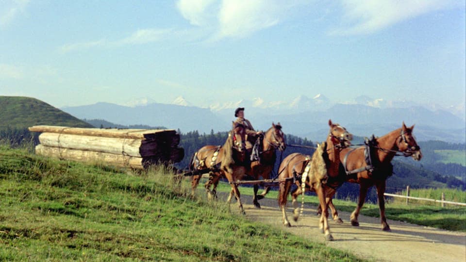 Ein Gespann von vier Pferden zieht einen Wagen beladen mit Holzbrettern vor einer Berglandschaft. Auf einem der Pferde sitzt ein Mann.