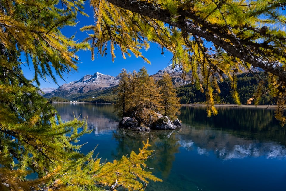 Farbige Lärchen mit blauem Wasser