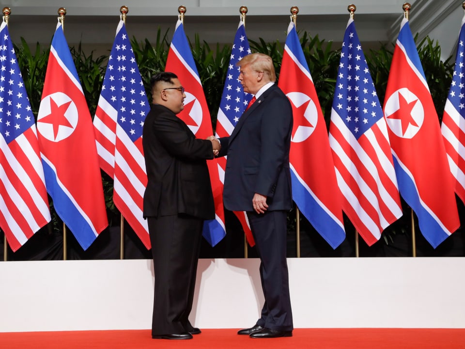 Handschlag zwischen Trump und Kim.