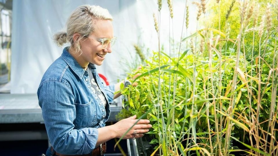 Eine Frau steht in einem Labor neben einem Pflanzenbeet