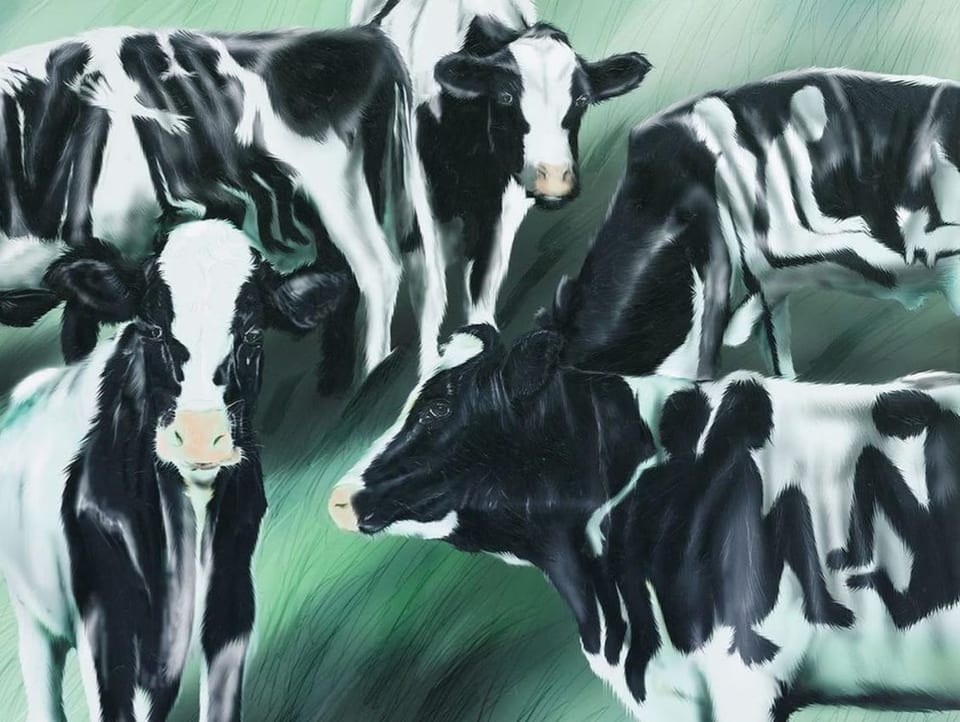 Vier Kühe, deren schwarze Flecken Menschen darstellen.