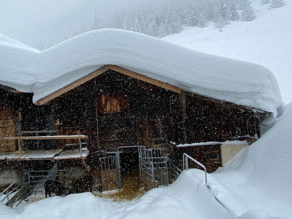 Stall im Goms mit schneebedecktem Dach.
