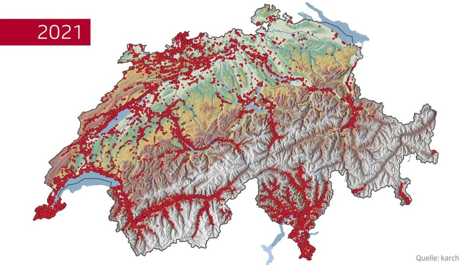 Verbreitungskarte der Mauereidechse 2021