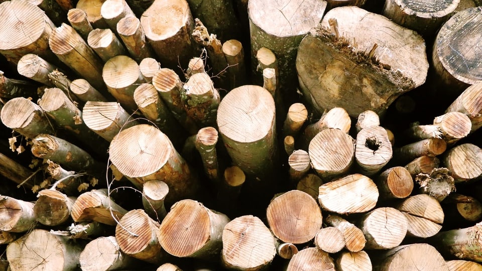 Mehrere Holzstücke Energieholz. 
