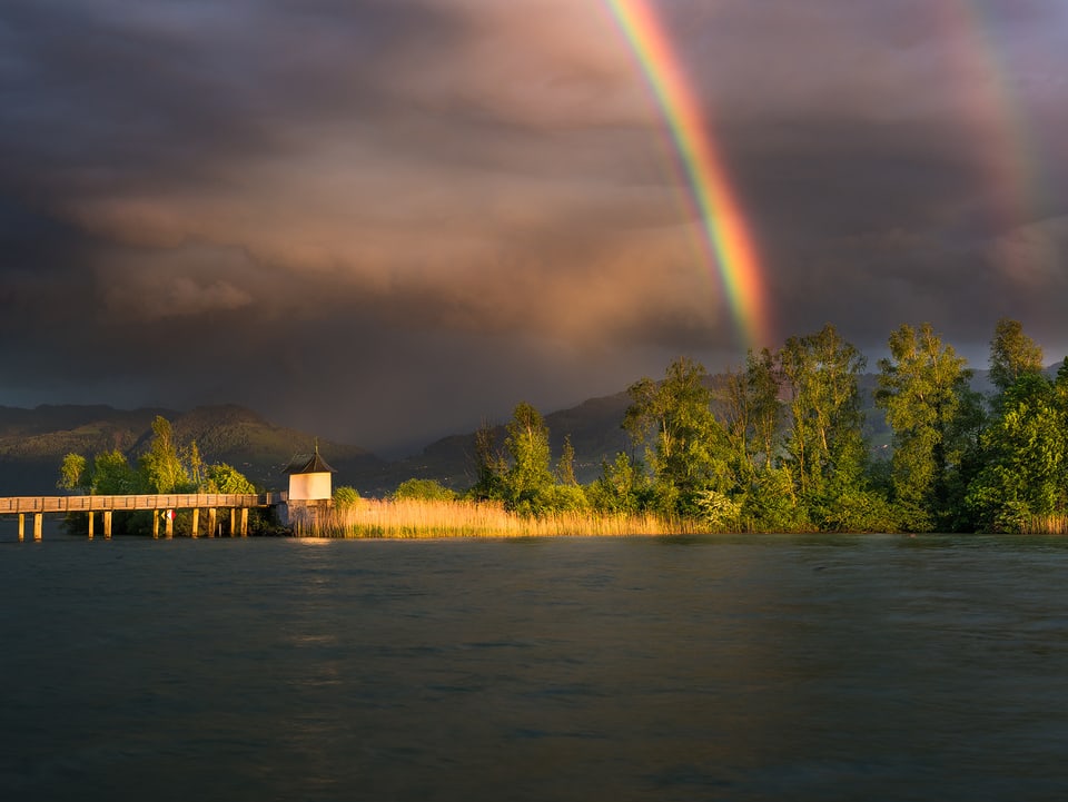Der Holzsteg und das Schilf einer kleinen Insel auf dem Seedamm leuchten zusammen mit einem Regenbogen in der Abendsonne um die Wette.