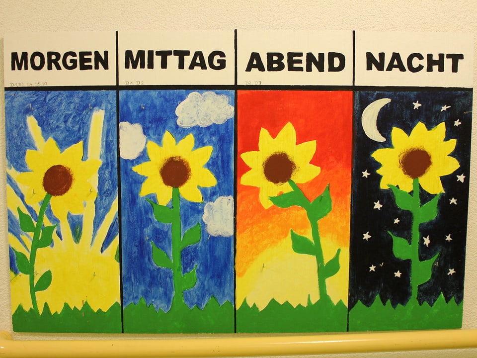 Ein Bild mit vier Sonnenblumen, darüber steht: Morgen, Mittag, Abend, Nacht. 