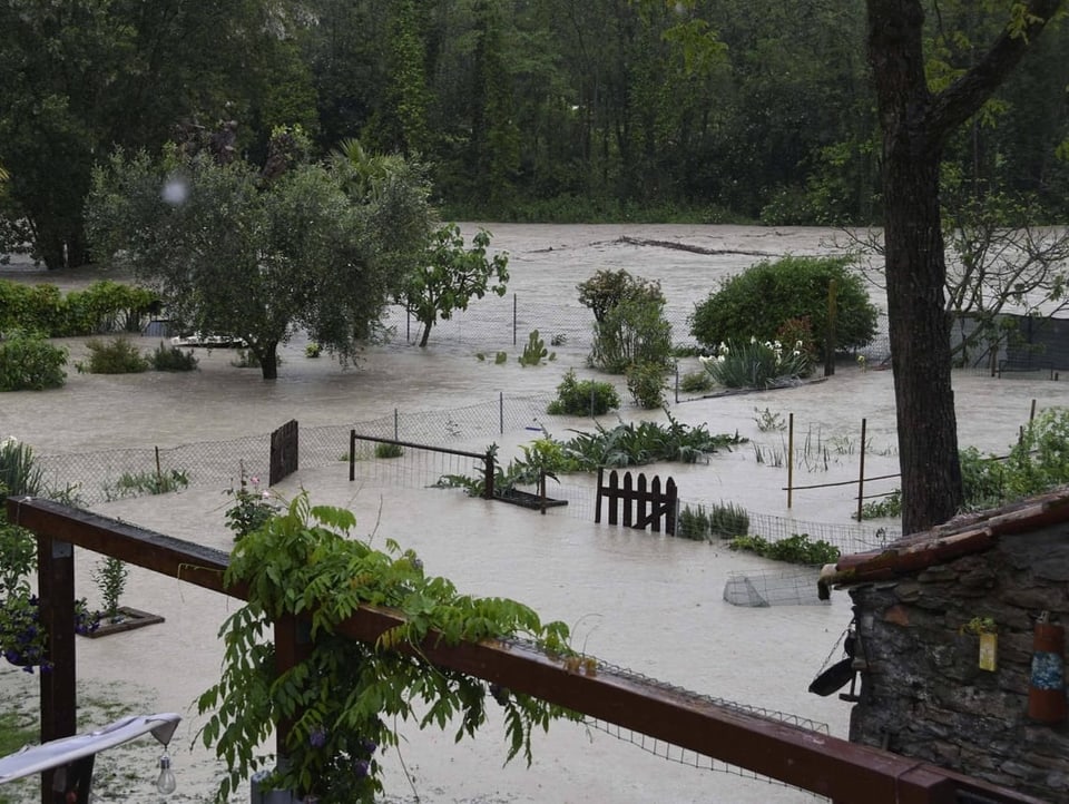 Blick auf überschwemmte Gärten. Im Hintergrund führt der Fluss Hochwasser.