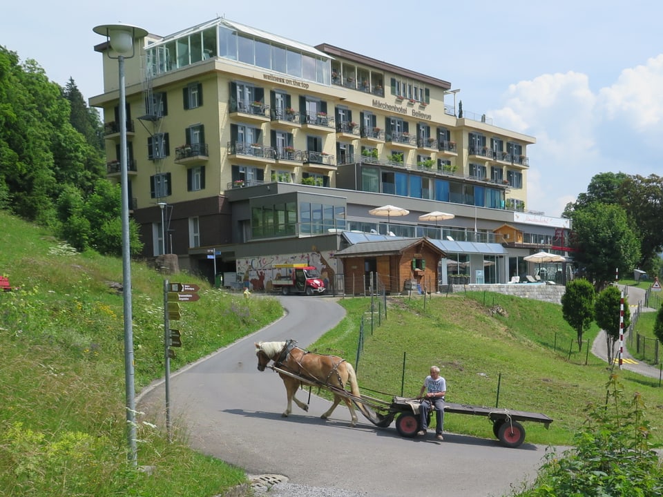Ein Pferd mit Ladewagen fährt auf der autofreien Strasse in Braunwald