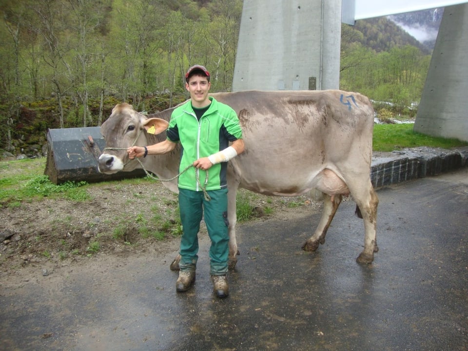 Matteo mit einer Kuh am Strick.