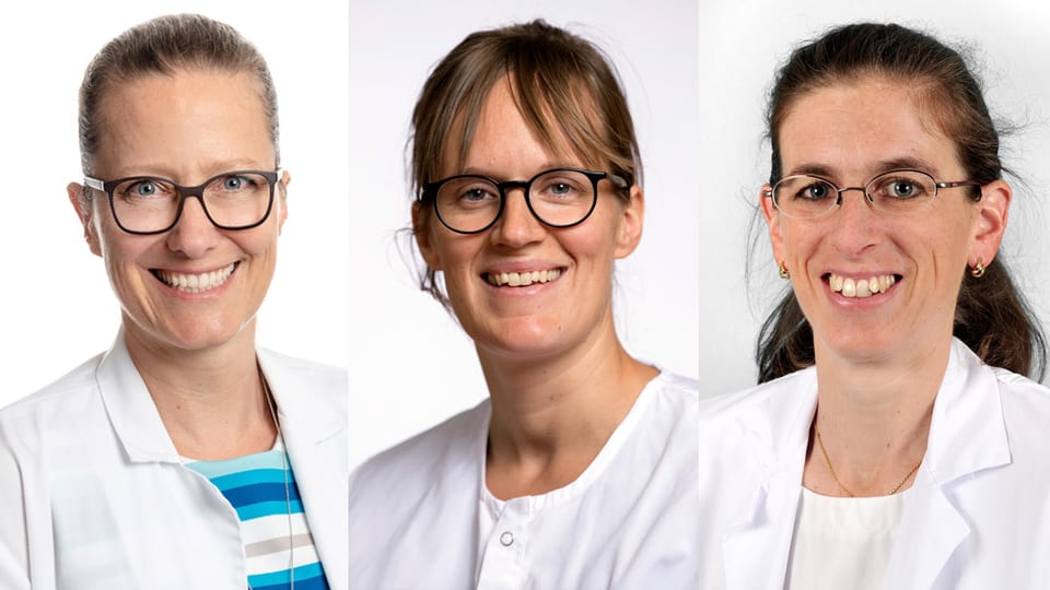 Porträtaufnahmen der Experten