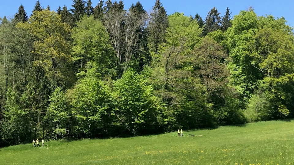 Piloten im Einsatz