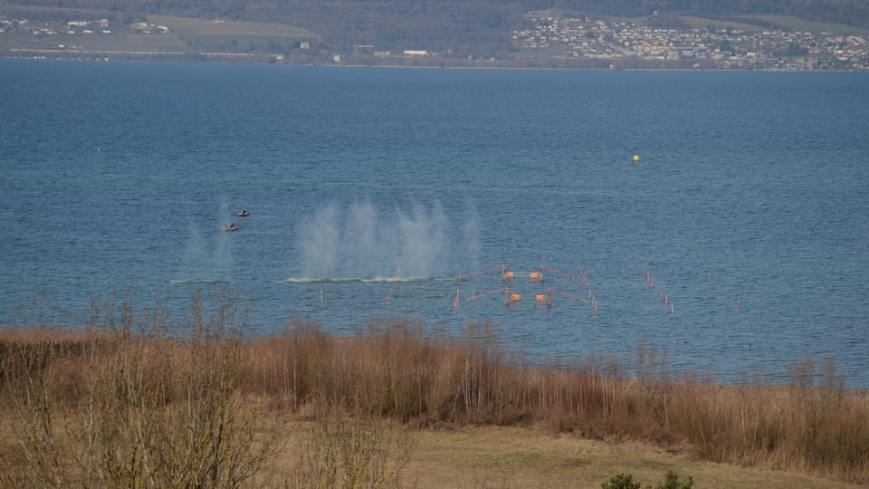 So sieht es aus, wenn die Armee ihre Schiessübungen durchführt: Die Munition landet im See.