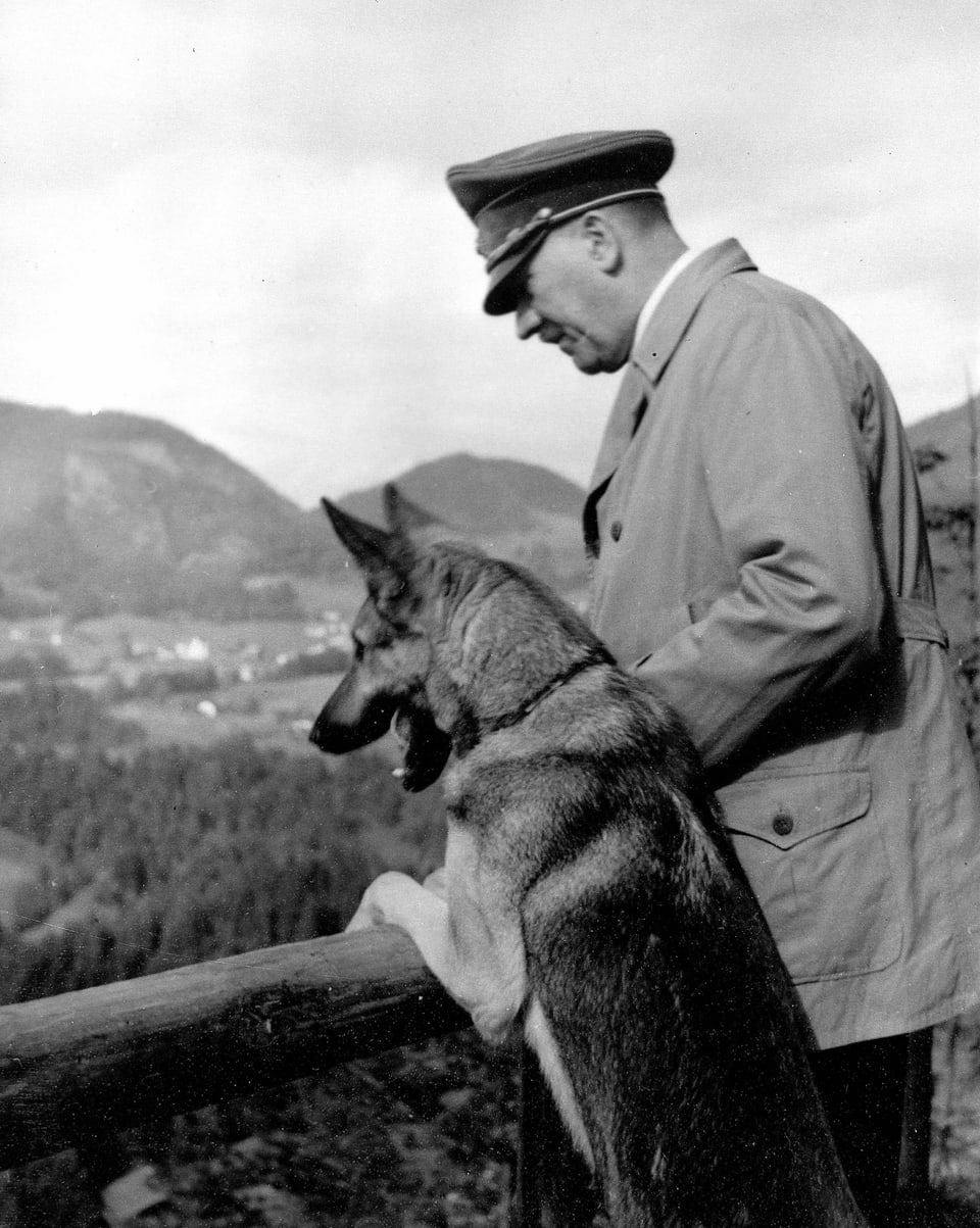 Hitler und sein Schäferhund lehnen an ein Holzgeländer und schauen in die Ferne.