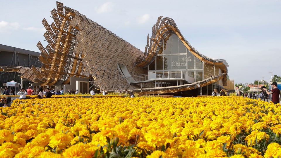 Blumenmeer vor dem chinesischen Pavillon an der Expo. 