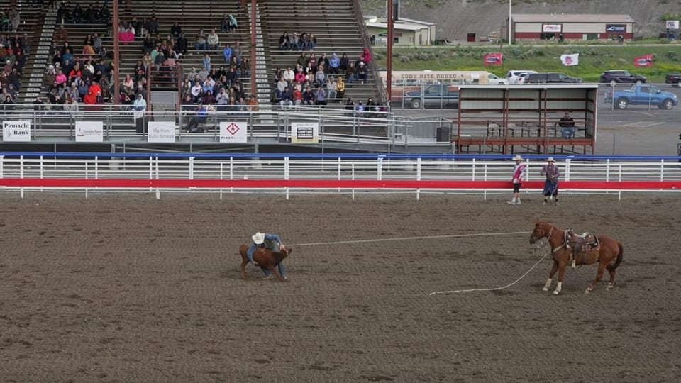Cowboy fesselt Kalb während das Pferd stillsteht 