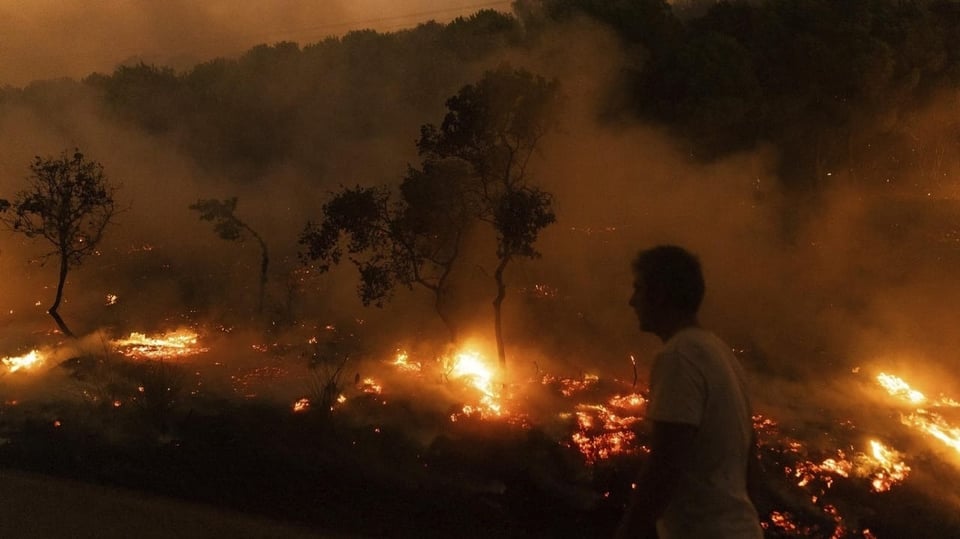 Ein Anwohner der Ortschaft Dikela in der Grenzregion Evros inmitten der verheerenden Brände. 